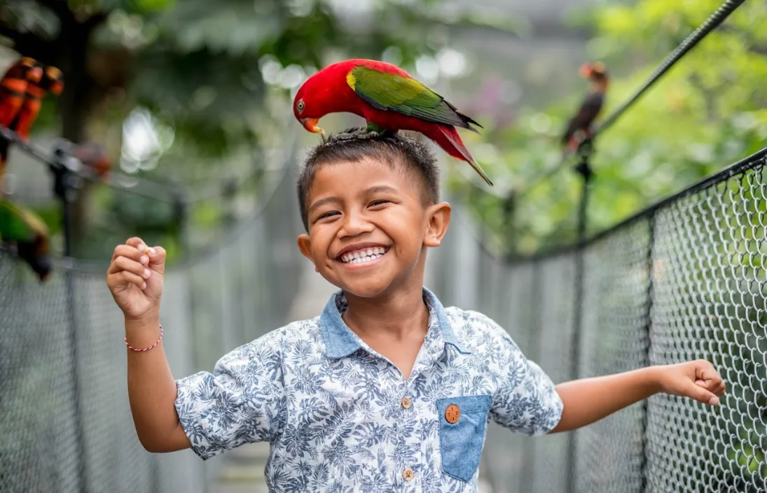 Bali Bird Park photo 2