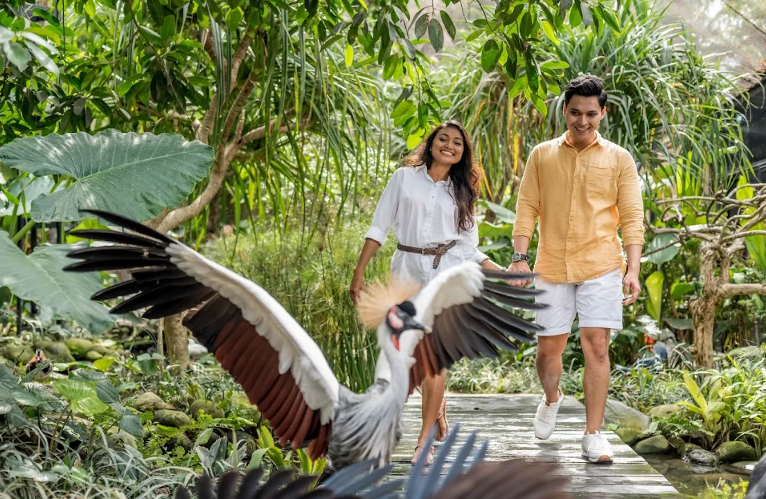 Bali Bird Park photo 3