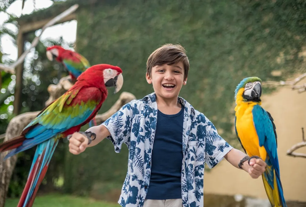 Bali Bird Park photo 4