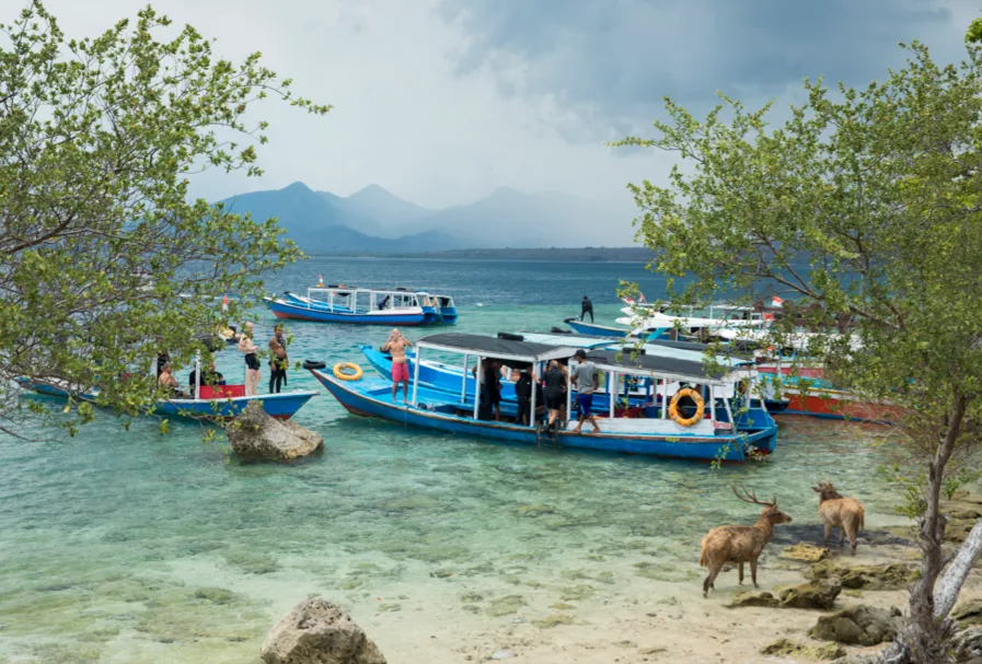 Menjangan Island Trip photo 2