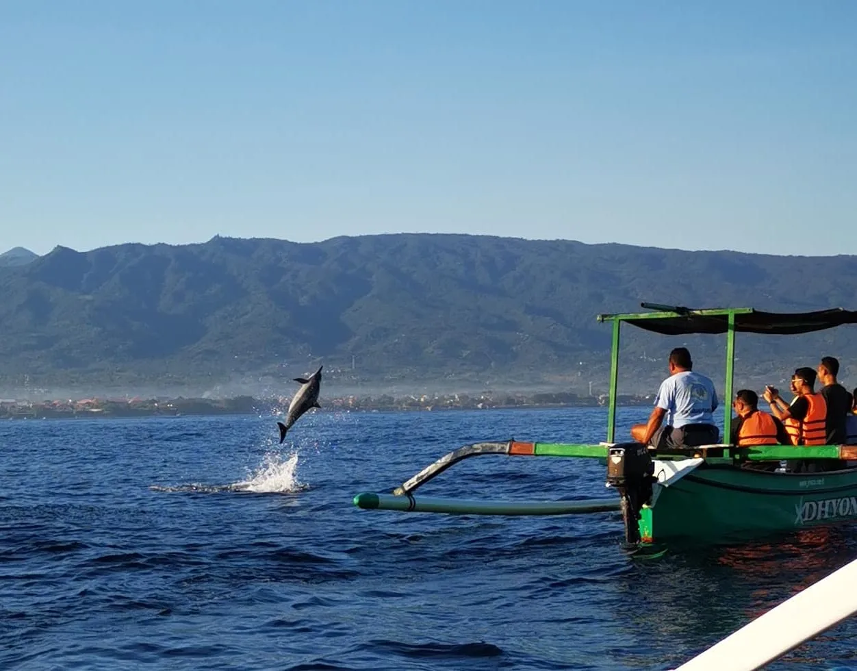 Rian Dolphin Lovina photo 3