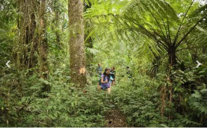 Munduk Wilderness photo 3