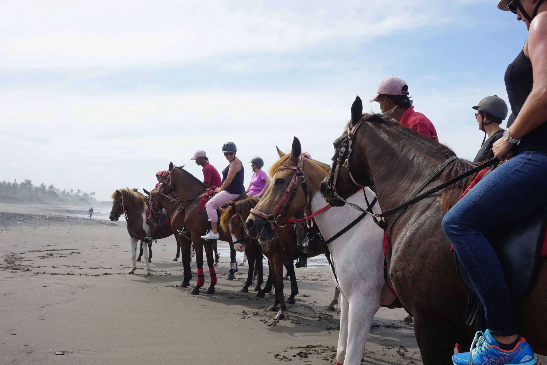 Horse Riding Kuda P Stable media 2