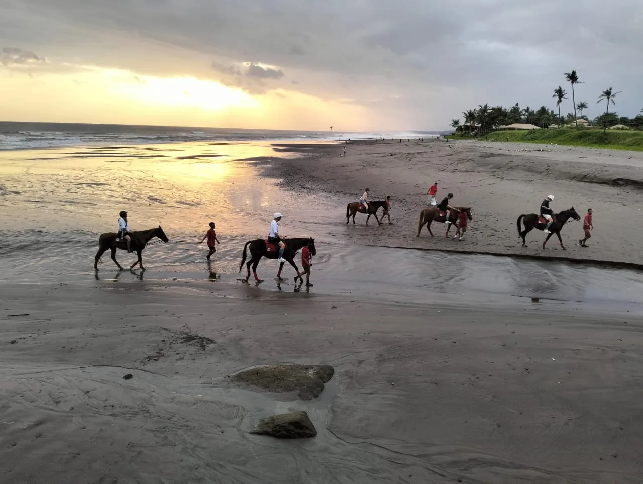Horse Riding Kuda P Stable media 5