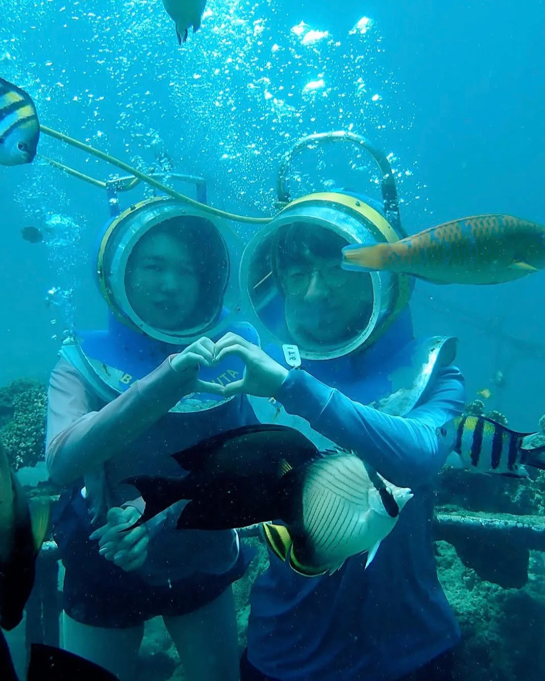Seawalker Activity
