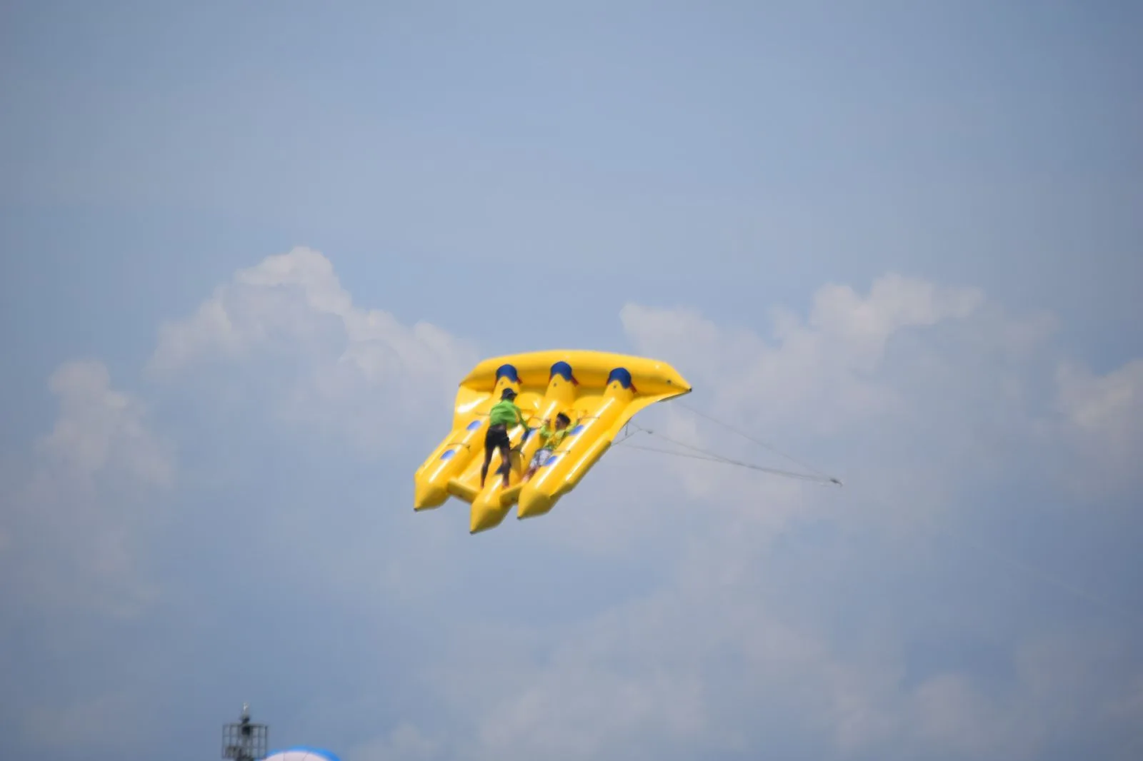 Flying Fish Activity