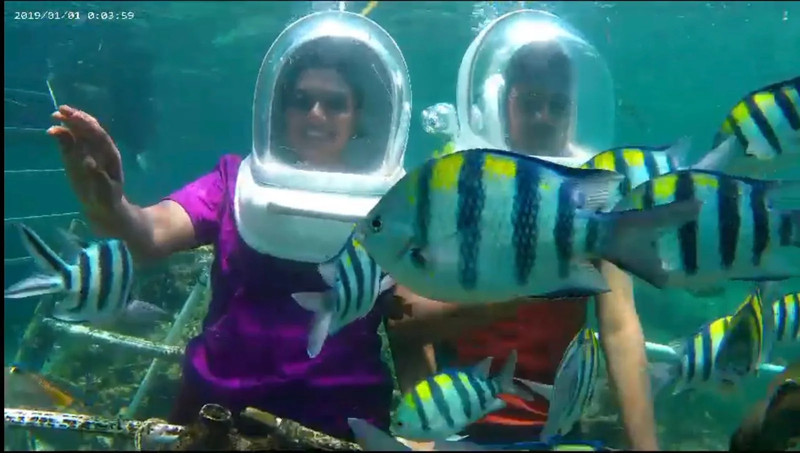 Sea Walker Activity