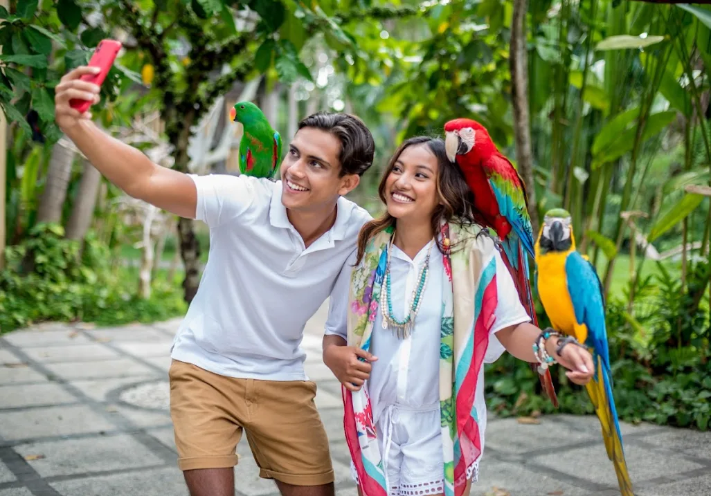 Entrance Ticket With Lunch Crispy Duck Bali Bird Park